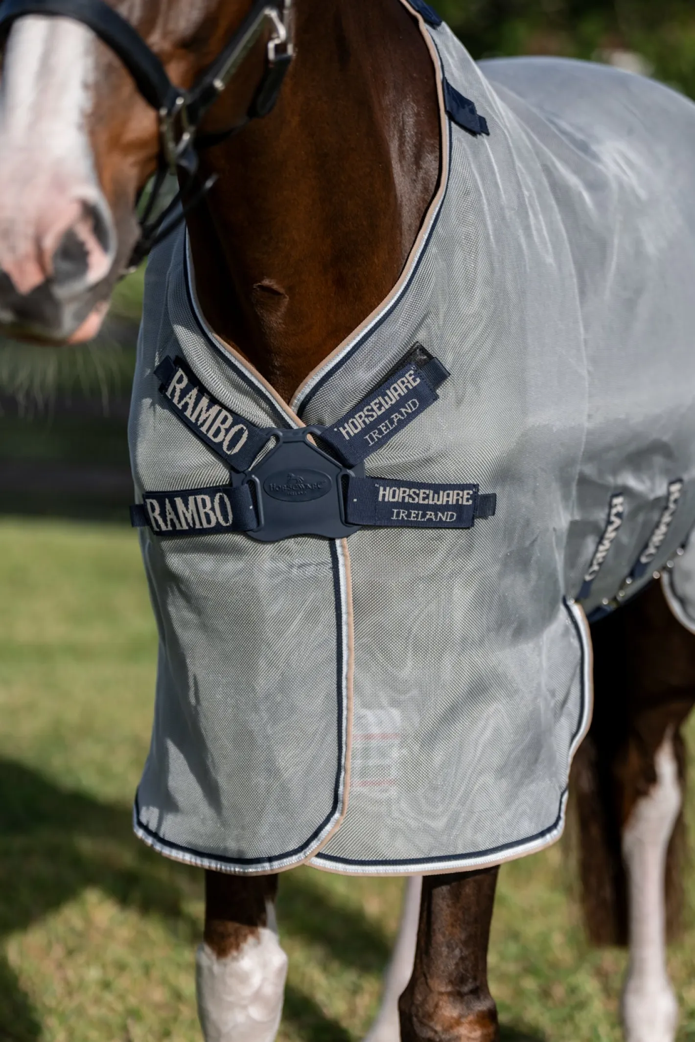 HORSEWARE ® Ireland Rambo® Protector Fieldsafe Plus