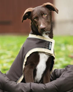 HORSEWARE ® Ireland Rambo® Waterproof Dog Blanket