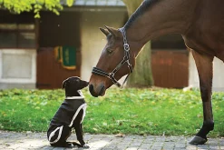 HORSEWARE ® Ireland Rambo® Waterproof Dog Blanket