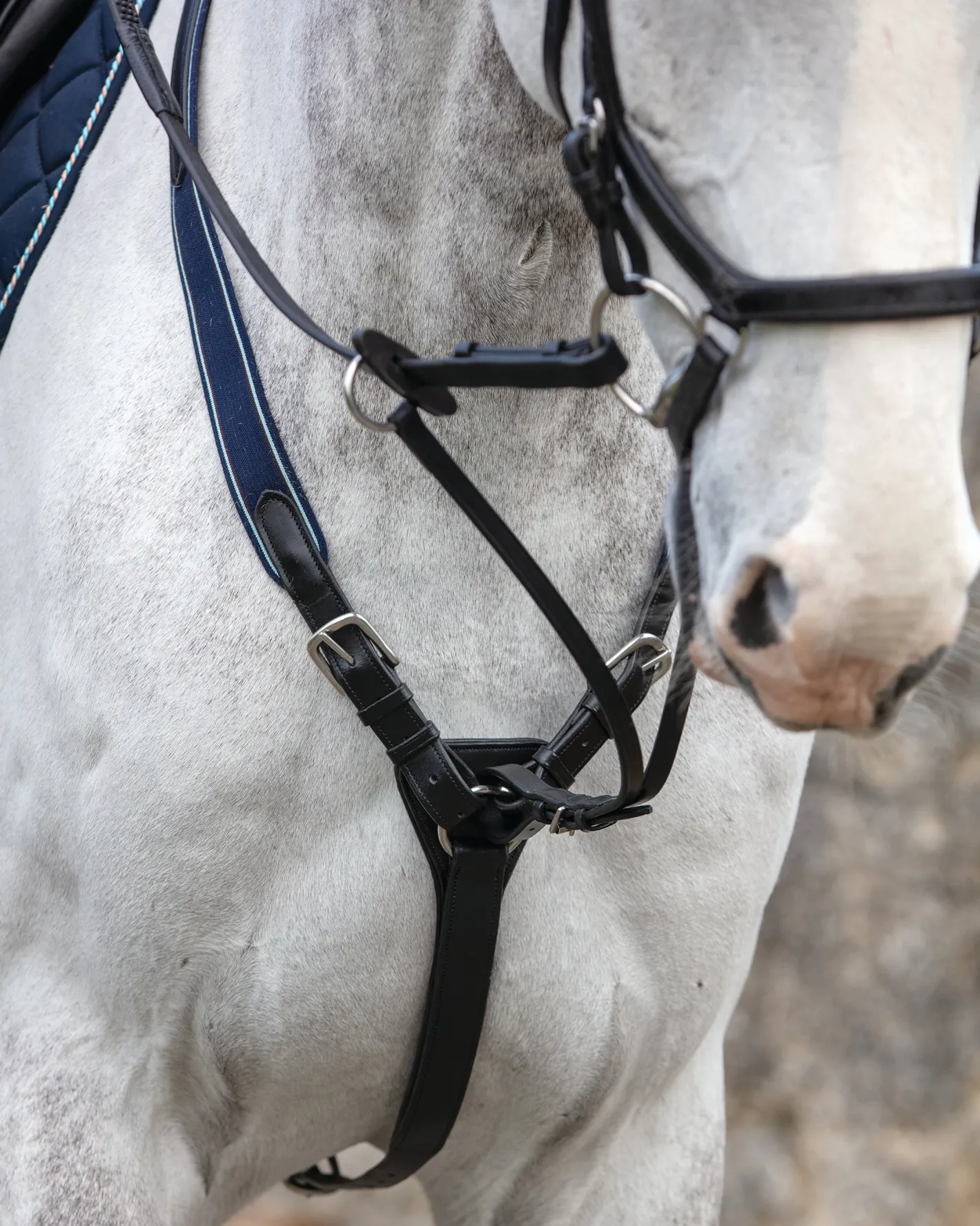 HORSEWARE ® Rambo® Micklem® Three-Point Breastplate