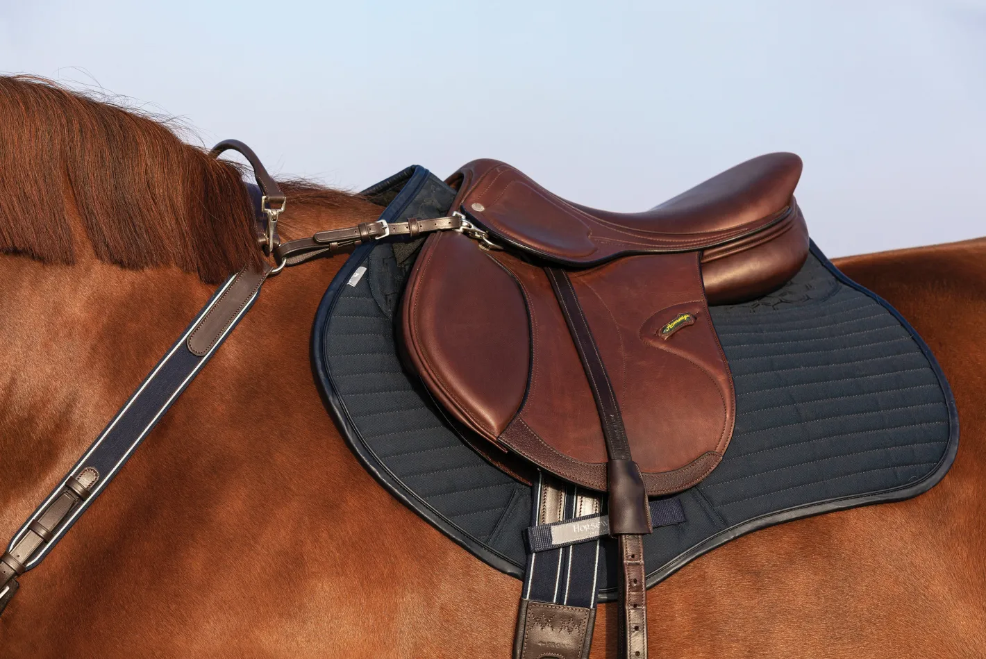 HORSEWARE ® Rambo® Micklem® Three-Point Breastplate