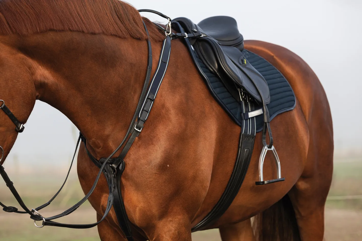 HORSEWARE ® Rambo® Micklem® Three-Point Breastplate