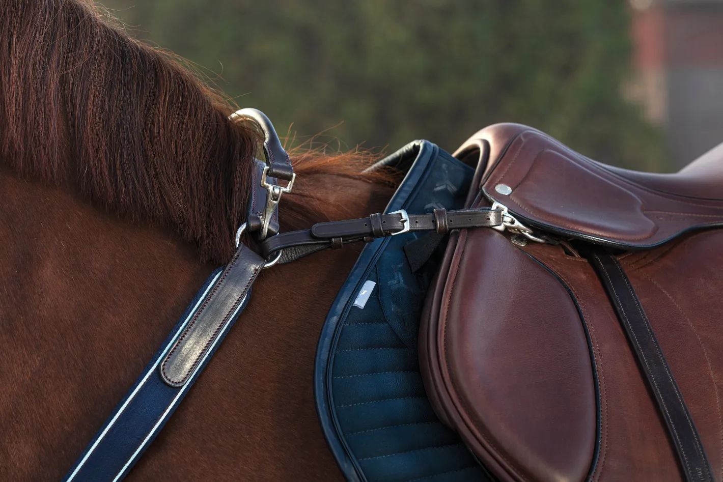 HORSEWARE ® Rambo® Micklem® Three-Point Breastplate