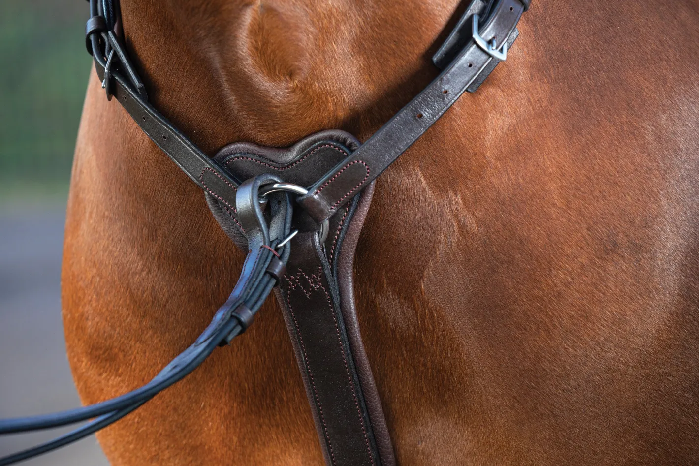 HORSEWARE ® Rambo® Micklem® Three-Point Breastplate