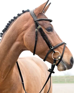 EQUINAVIA Horze Constance Padded Flash Snaffle Bridle