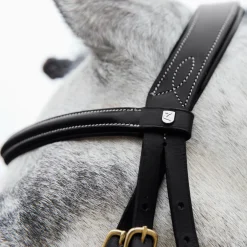 EQUINAVIA Horze Constance Padded Flash Snaffle Bridle