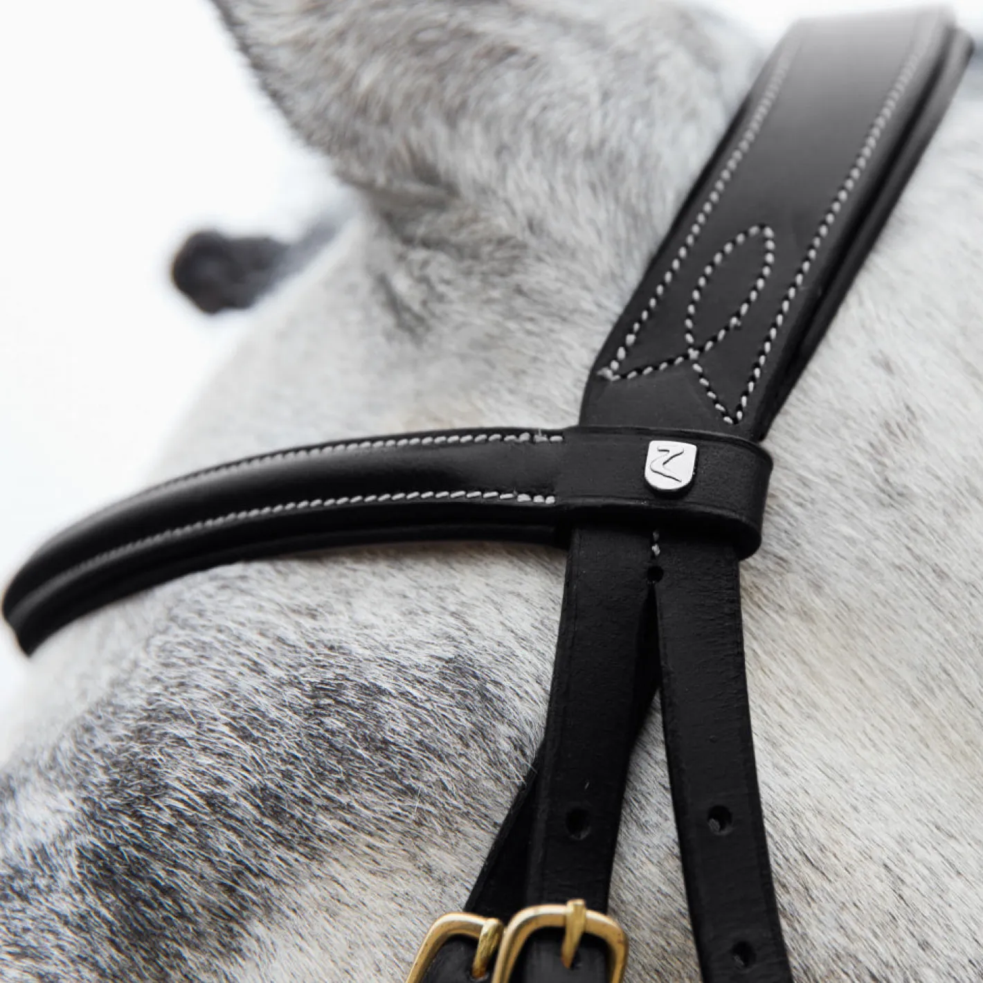 EQUINAVIA Horze Constance Padded Flash Snaffle Bridle