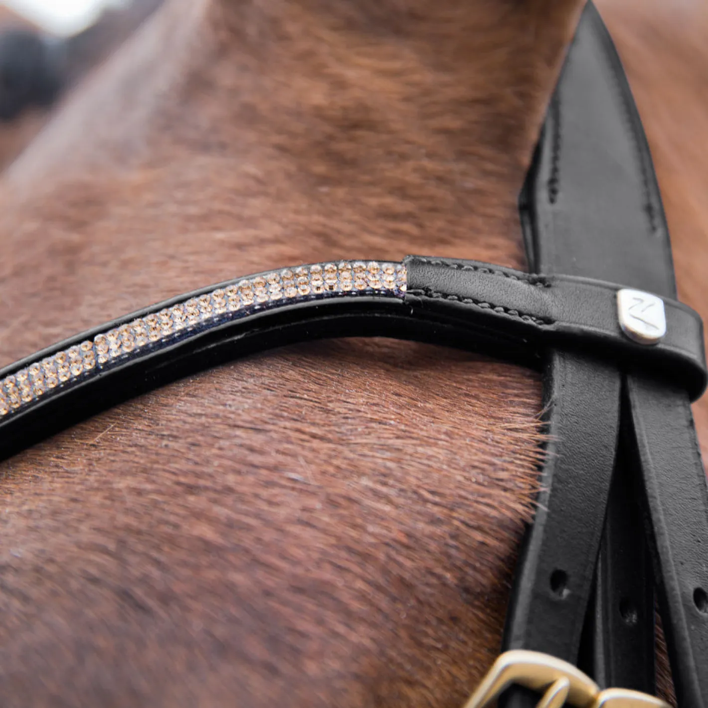 EQUINAVIA Horze Lester Snaffle Bridle