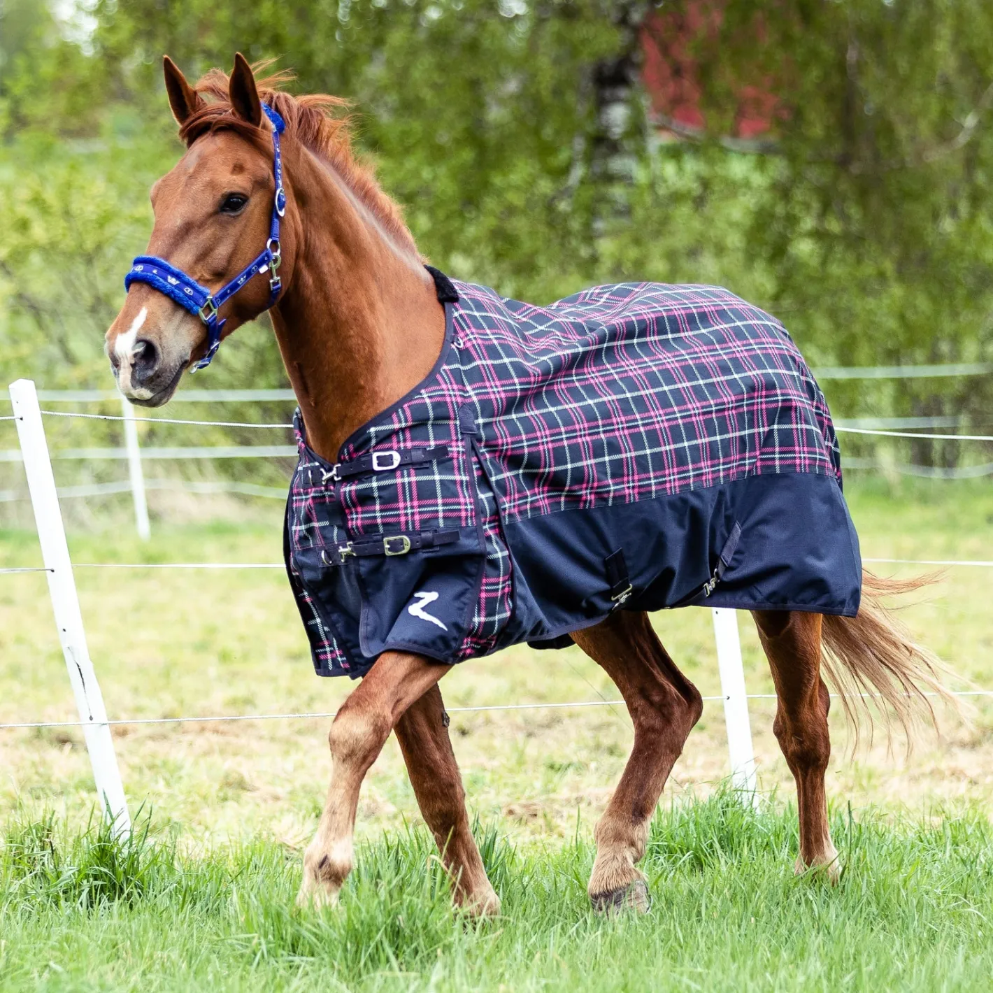 EQUINAVIA Horze Nevada 1200D Lightweight Turnout Sheet