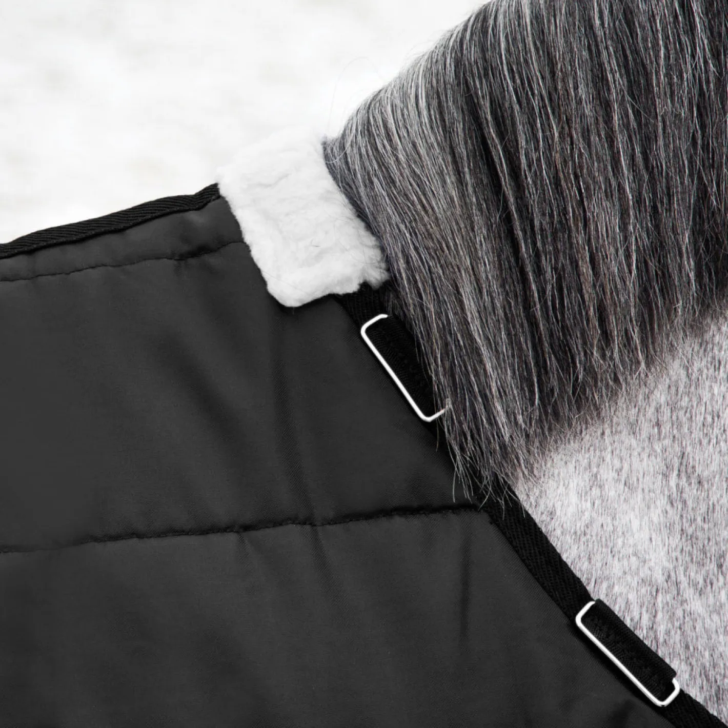 EQUINAVIA Horze Nevada Medium-Weight Stable Blanket