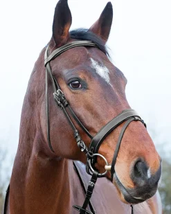 EQUINAVIA Horze Venice Snaffle Bridle