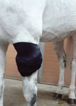 MACKINNON Ice Horse® All-Purpose Wrap