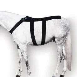 MACKINNON Ice Horse® Back Blanket