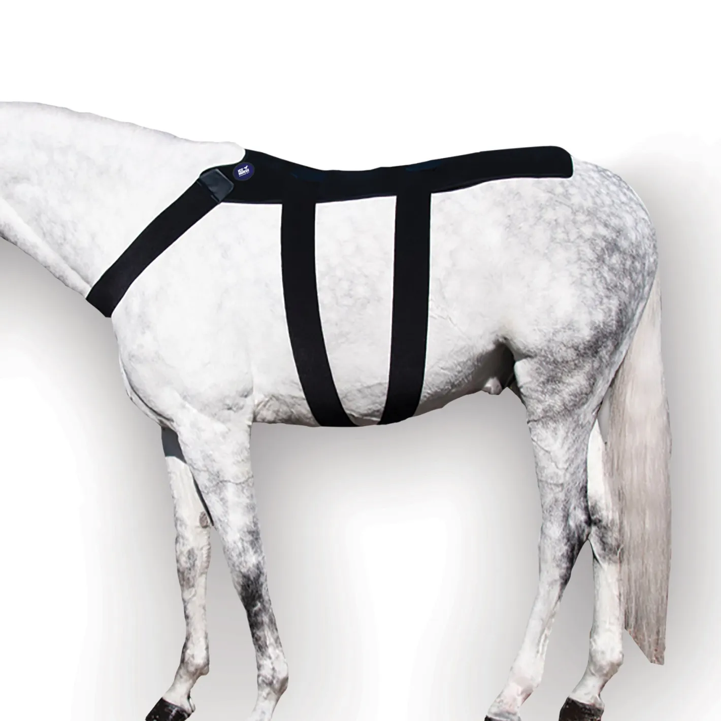 MACKINNON Ice Horse® Back Blanket