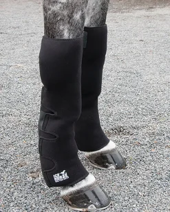 MACKINNON Ice Horse® Full Hind Leg Wrap Pair with Suspender Strap