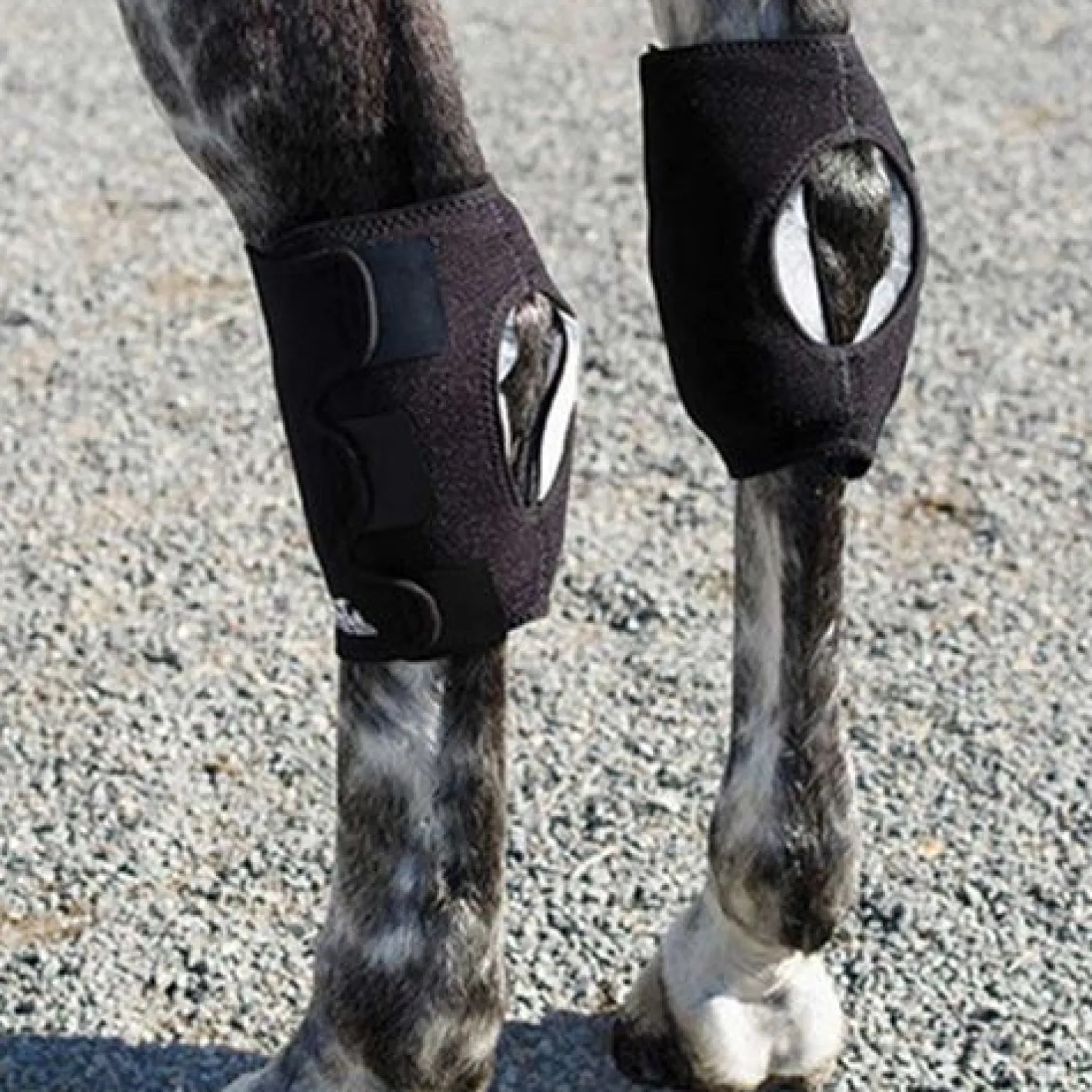MACKINNON Ice Horse® Hock Wrap