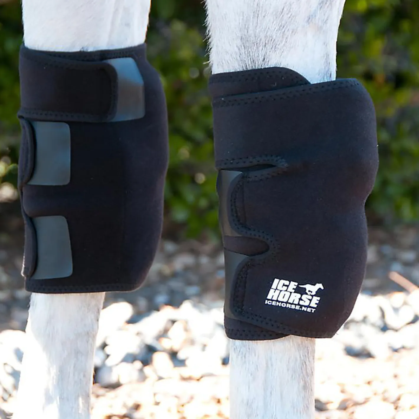 MACKINNON Ice Horse® Knee Wraps - Pair