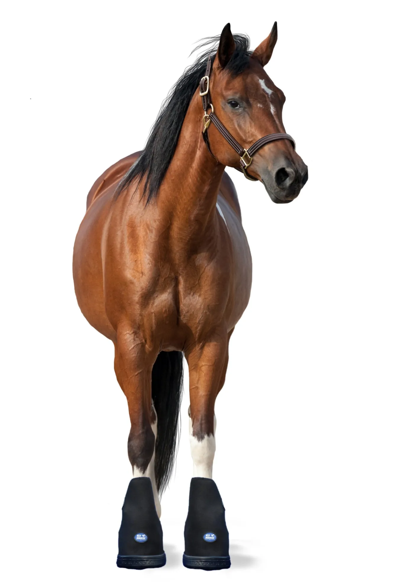 MACKINNON Ice Horse® Large Laminitis Pro Boot