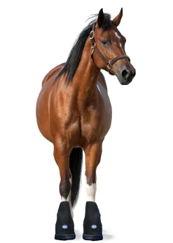 MACKINNON Ice Horse® Medium Laminitis Pro Boot
