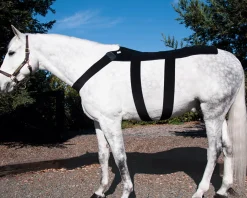 MACKINNON Ice Horse® Pony Back Blanket