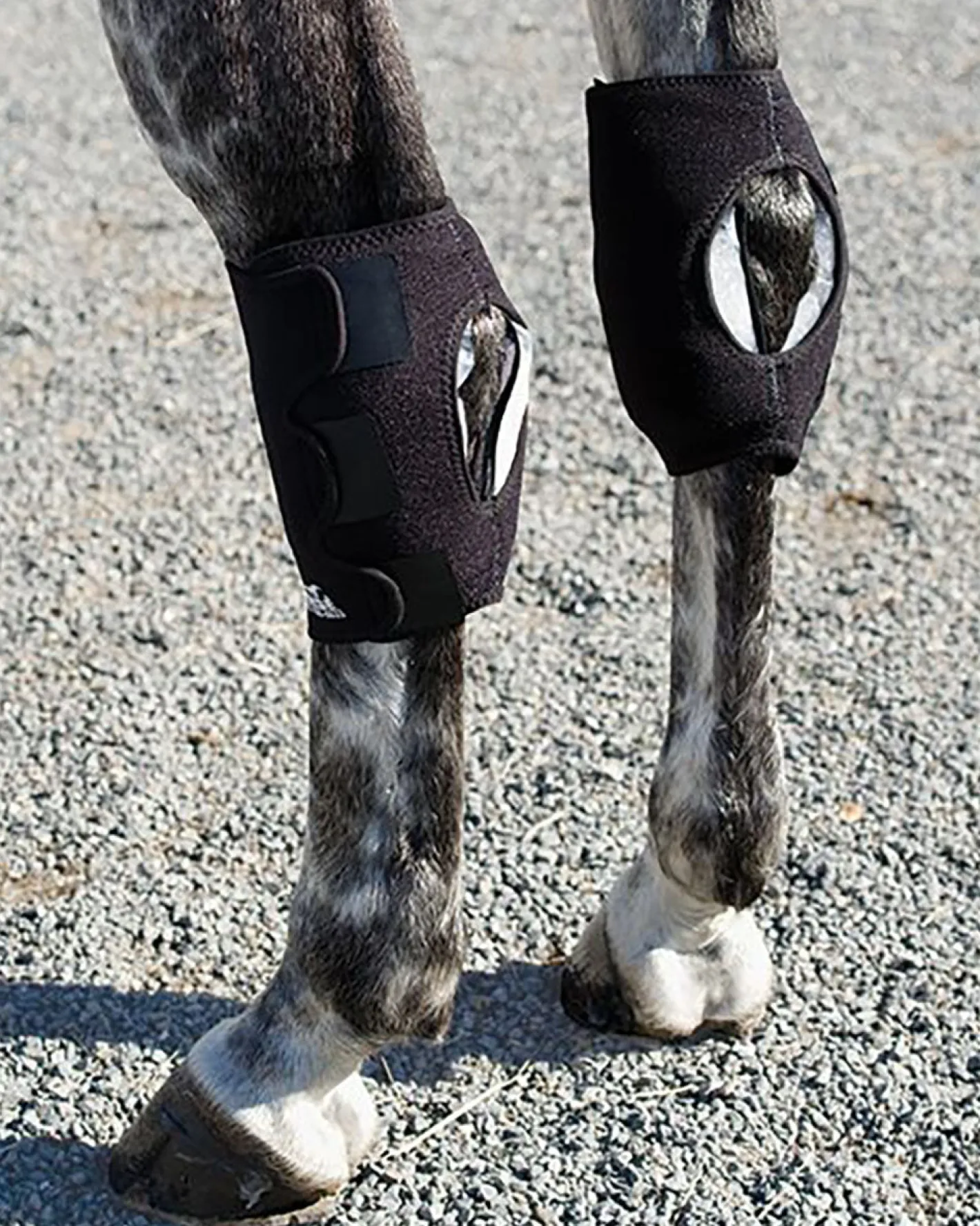 MACKINNON Ice Horse® Pony Hock Wrap – Pair