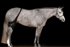 MACKINNON Ice Horse® Stifle Wraps