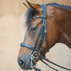 PEP-KAVALKADE Ivonne Convertible Bridle