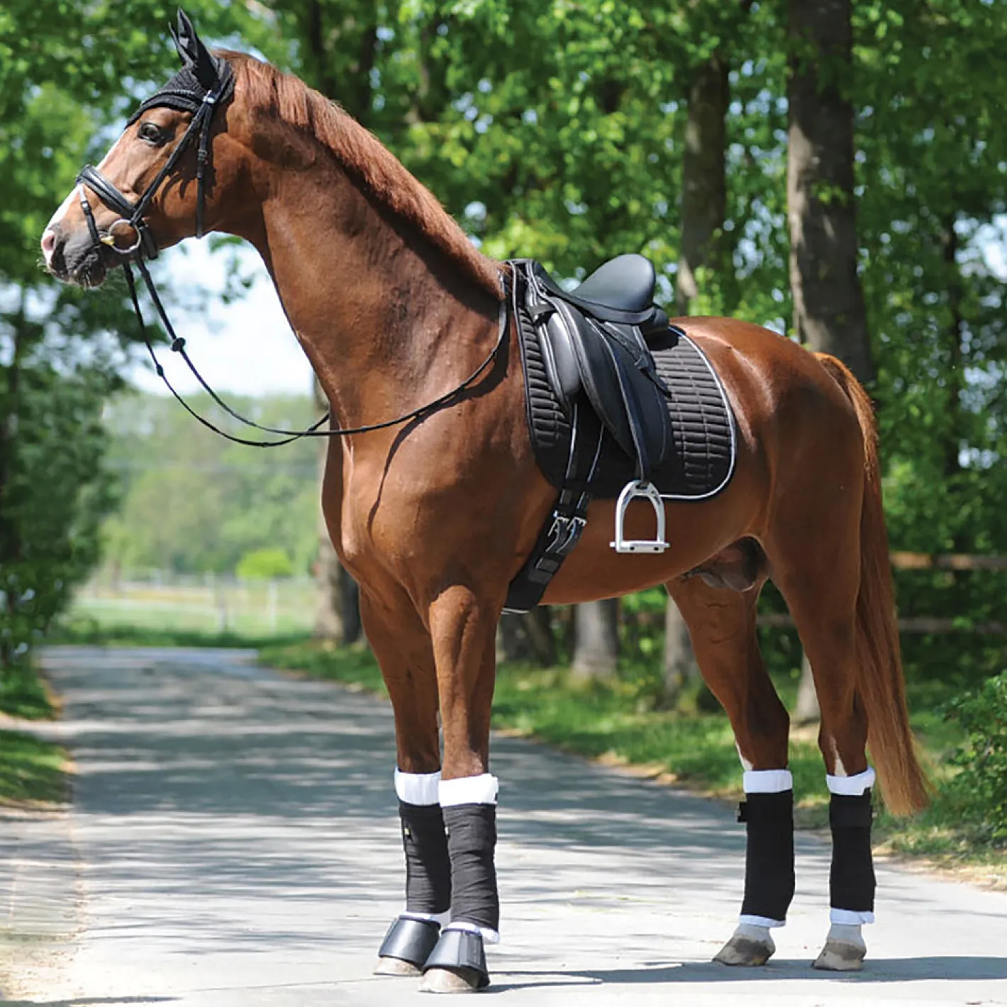 PEP-KAVALKADE Kavalkade KavalEasy Rhinestone Dressage Pad