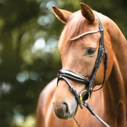 PEP-KAVALKADE Kavalkade Princess Browband