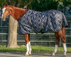 KENSINGTON ™ Pony Signature Medium Weight Turnout Blanket