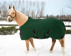 KENSINGTON ™ Pony Signature Medium Weight Turnout Blanket
