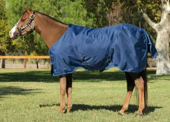 KENSINGTON ™ Pony Signature Medium Weight Turnout Blanket