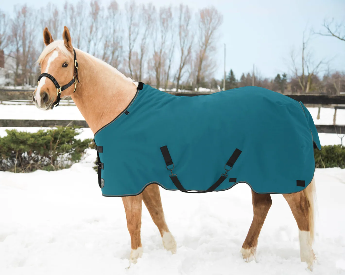 KENSINGTON ™ Pony Signature Medium Weight Turnout Blanket