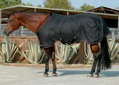KENSINGTON ™ Pony Signature Heavyweight Turnout Blanket