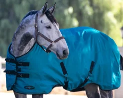 KENSINGTON ™ Pony Signature Heavyweight Turnout Blanket