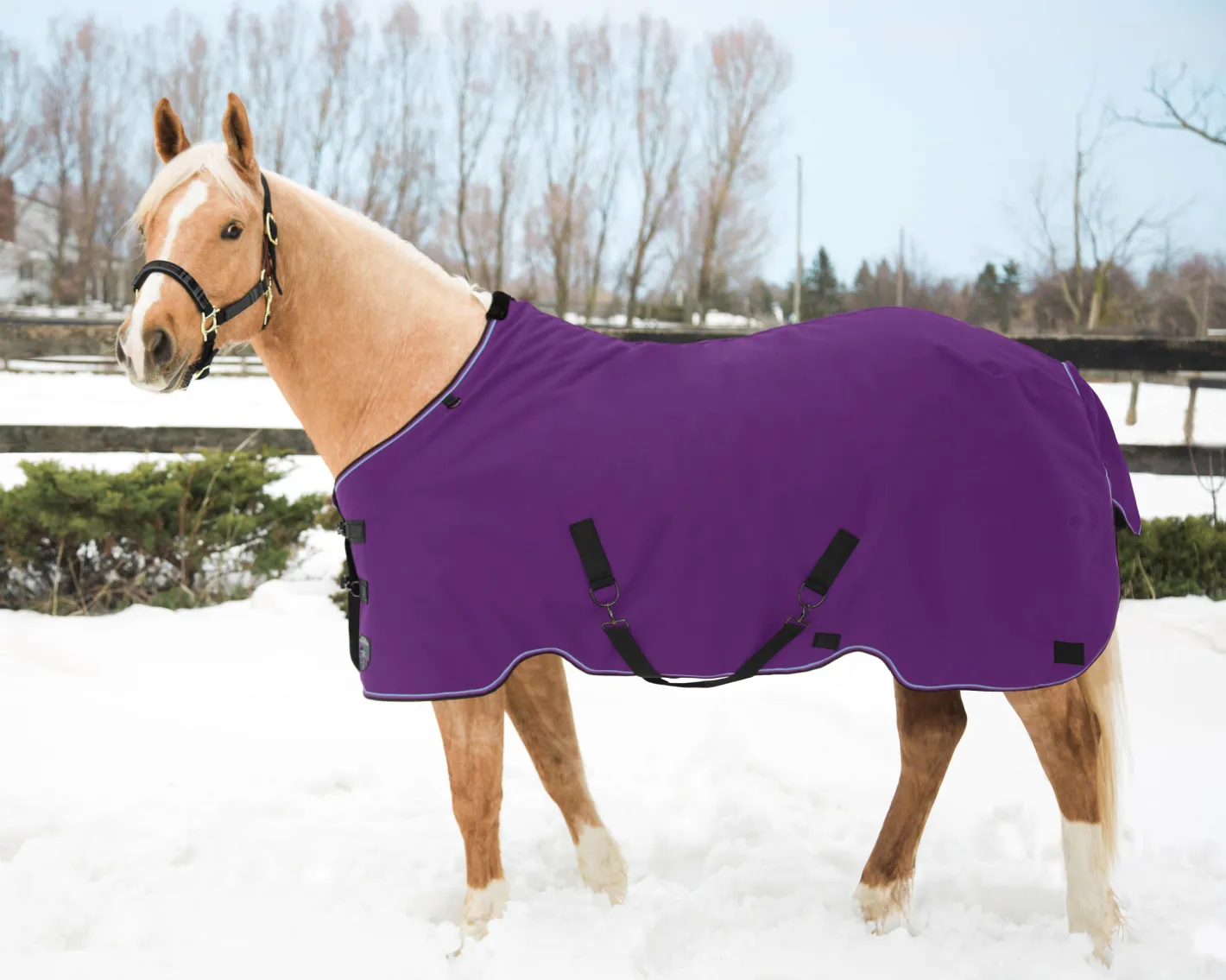 KENSINGTON ™ Pony Signature Lightweight Turnout Blanket
