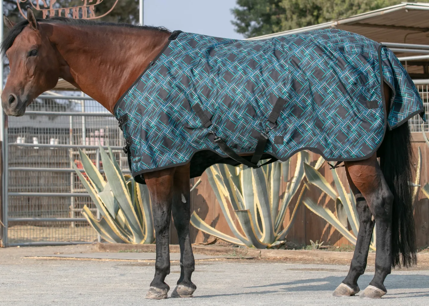 KENSINGTON ™ Pony Signature Lightweight Turnout Blanket