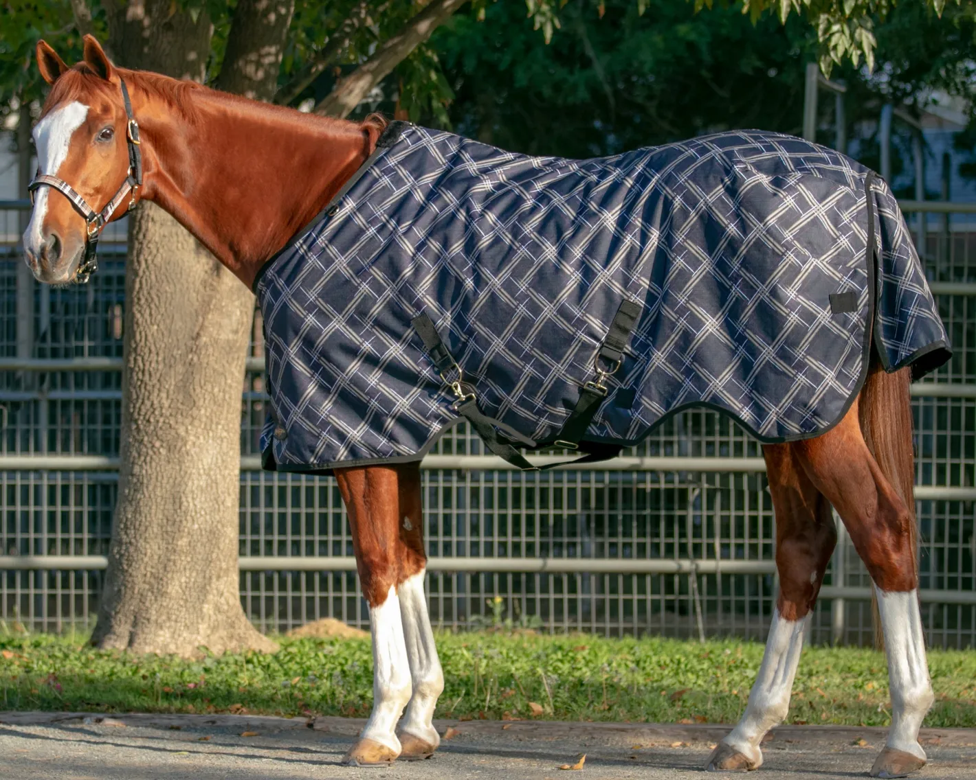 KENSINGTON ™ Pony Signature Lightweight Turnout Blanket