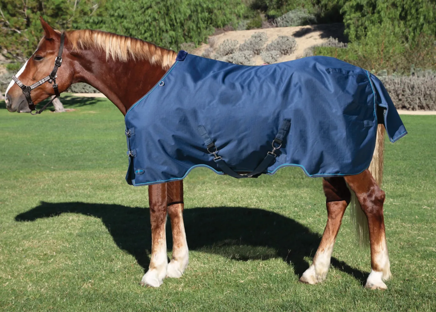 KENSINGTON ™ Pony Signature Lightweight Turnout Blanket
