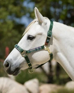 KENSINGTON ™ Premium Breakaway Halter