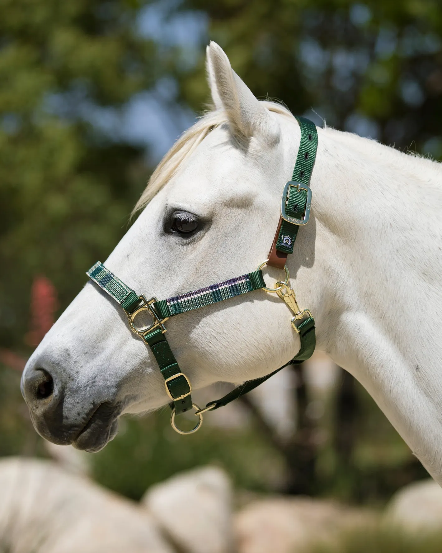 KENSINGTON ™ Premium Breakaway Halter