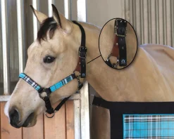 KENSINGTON ™ Premium Breakaway Halter