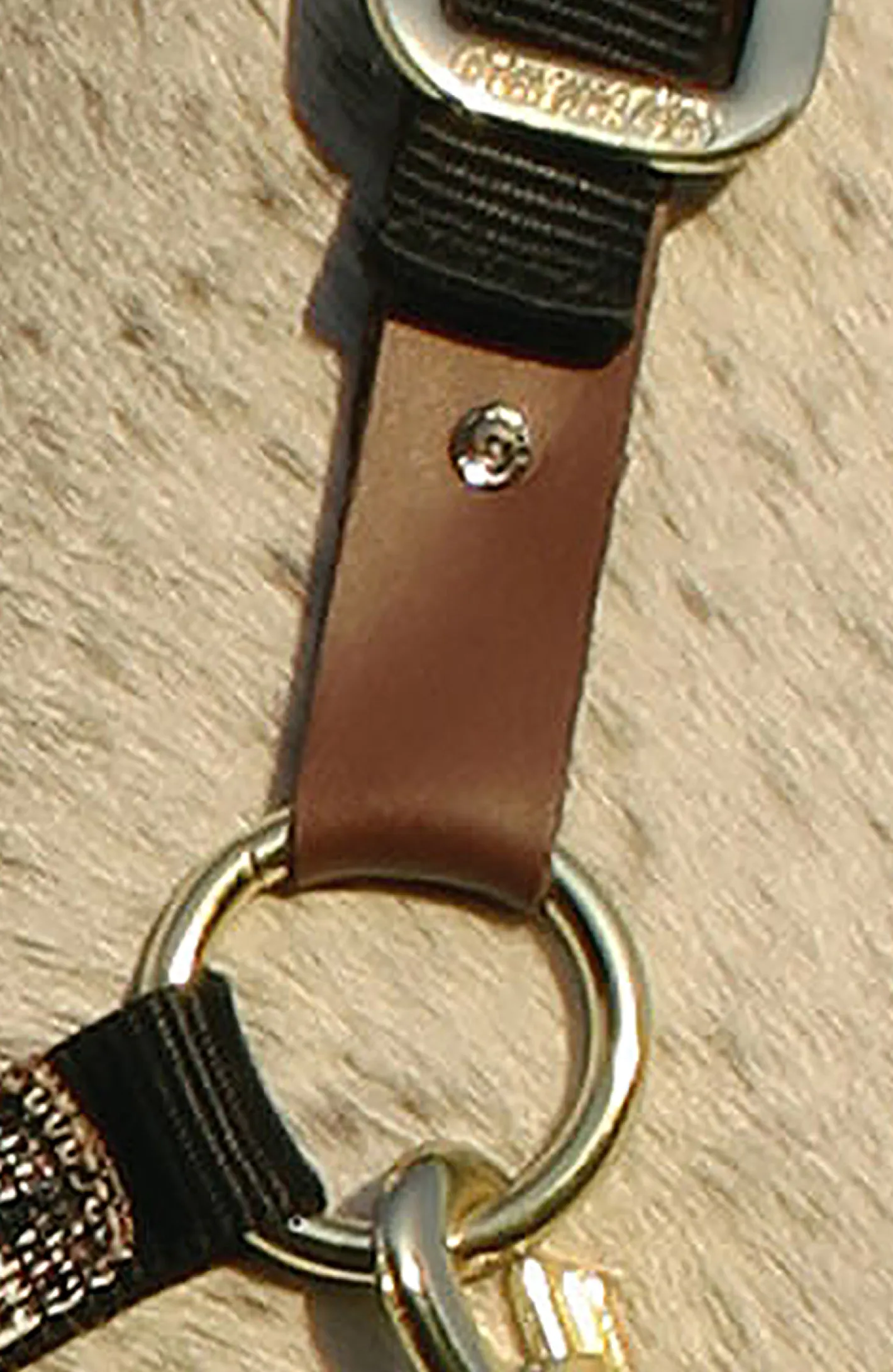 KENSINGTON ™ Premium Breakaway Halter