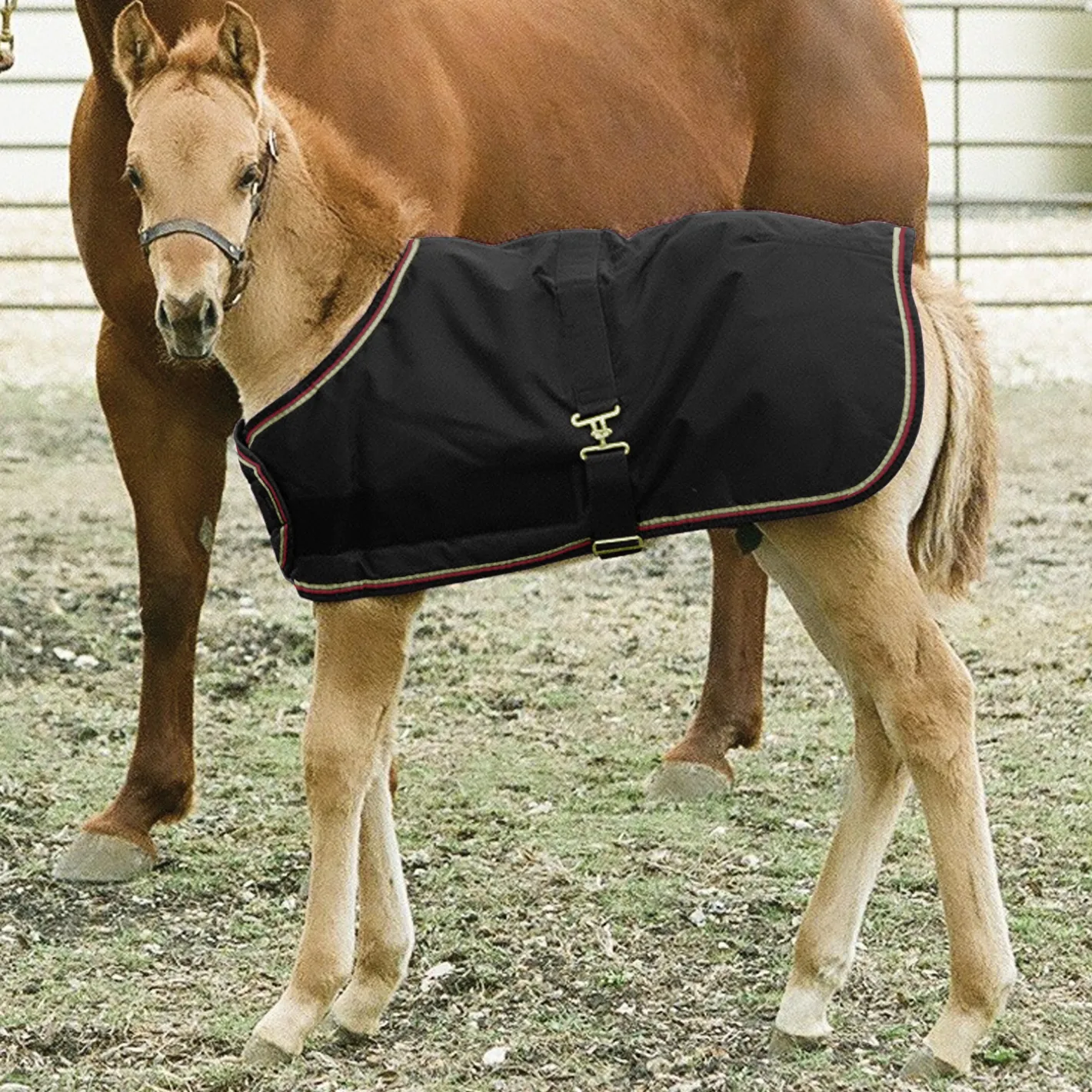 KENSINGTON ™ Signature Adjustable Large Foal Turnout
