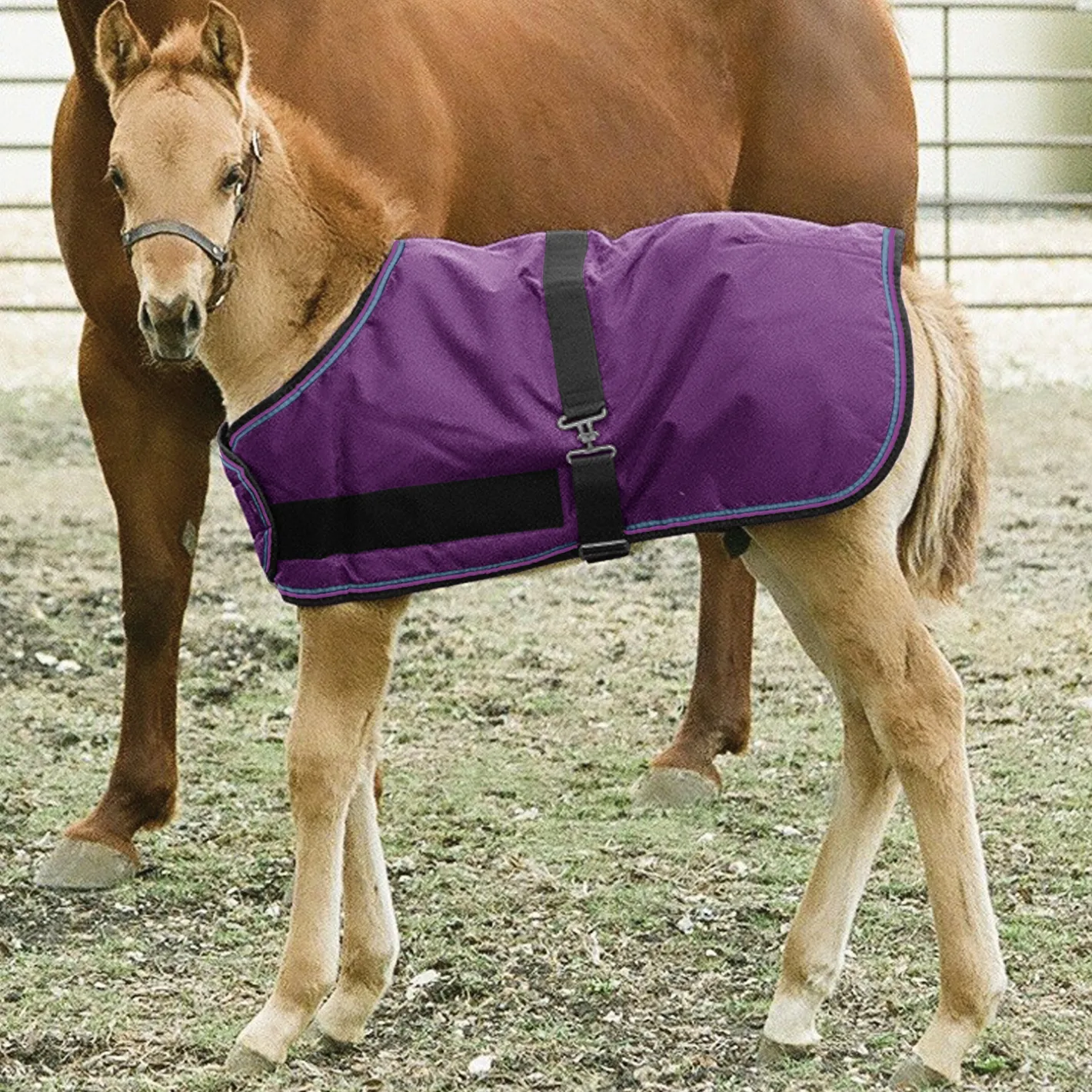 KENSINGTON ™ Signature Adjustable Large Foal Turnout