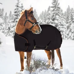 KENSINGTON ™ Signature Adjustable Yearling Turnout Blanket