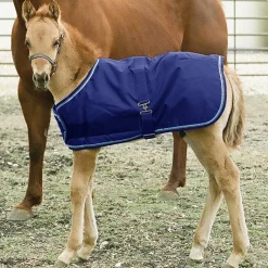 KENSINGTON ™ Signature Adjustable Small Foal Turnout Blanket
