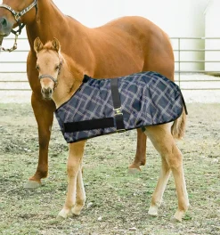 KENSINGTON ™ Signature Adjustable Small Foal Turnout Blanket