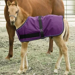 KENSINGTON ™ Signature Adjustable Small Foal Turnout Blanket