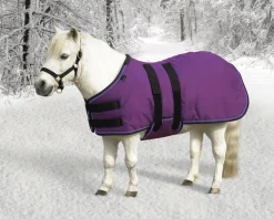 KENSINGTON ™ Signature Mini Heavyweight Turnout Blanket